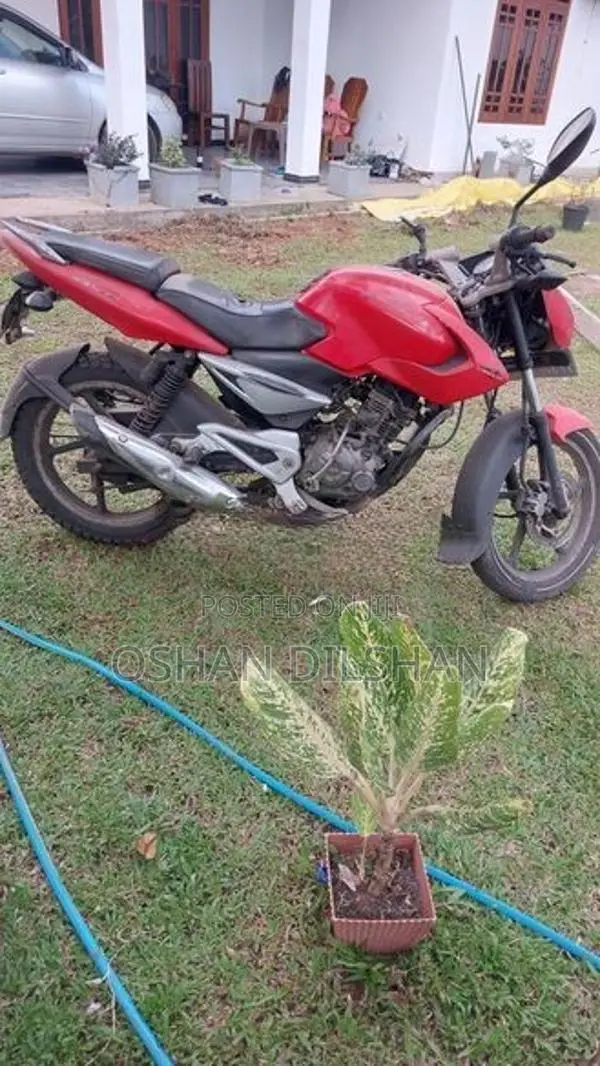 Bajaj Pulsar 135 2012