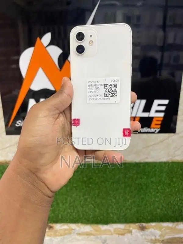 Apple iPhone 12 (Used)