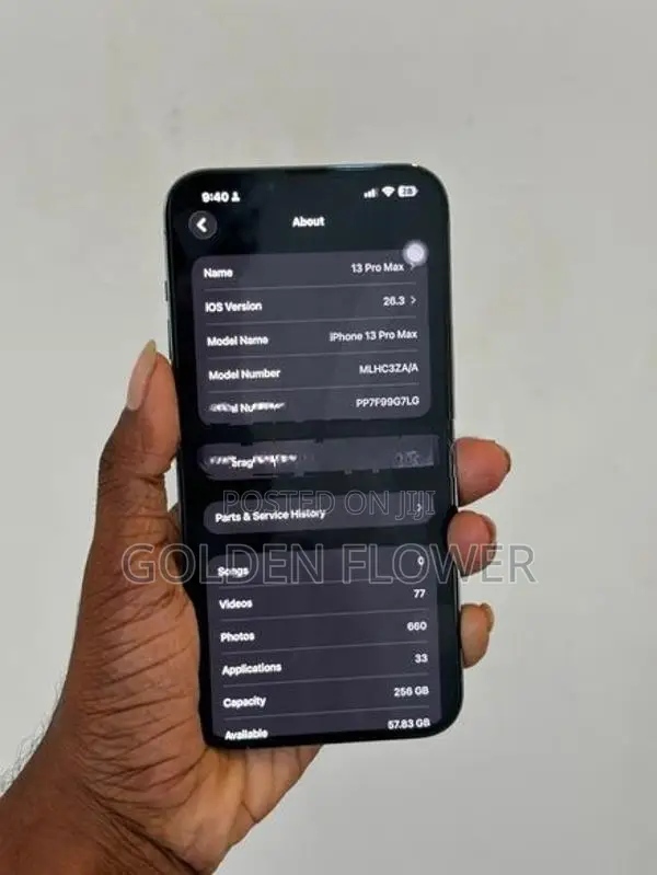 Apple iPhone 13 Pro Max 256GB (Used)