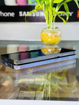 Samsung Galaxy S24 Plus 256GB (Used)