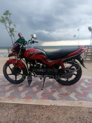Hero Passion pro 2013