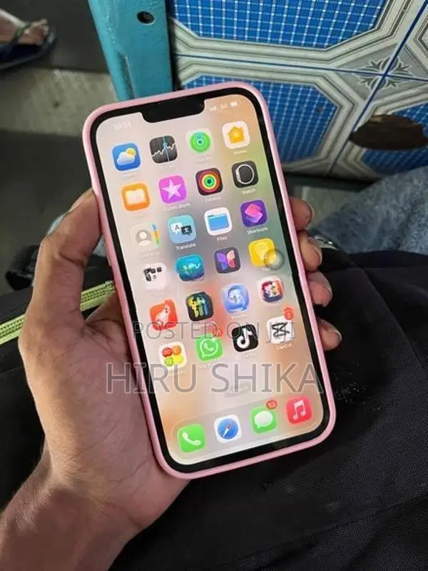 Apple iPhone 13 Pro Max (Used)