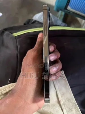 Apple iPhone 13 Pro Max (Used)