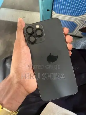 Apple iPhone 13 Pro Max (Used)