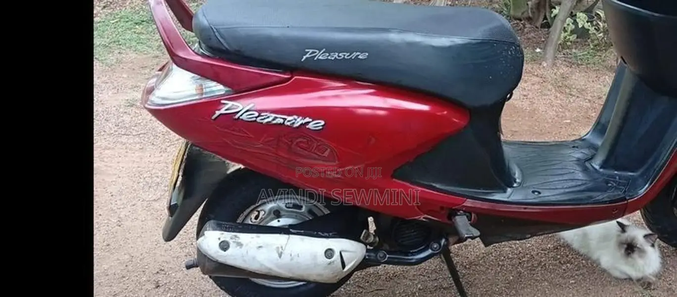 Hero Pleasure 2011