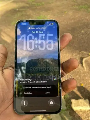 Apple iPhone 13 Pro (Used)