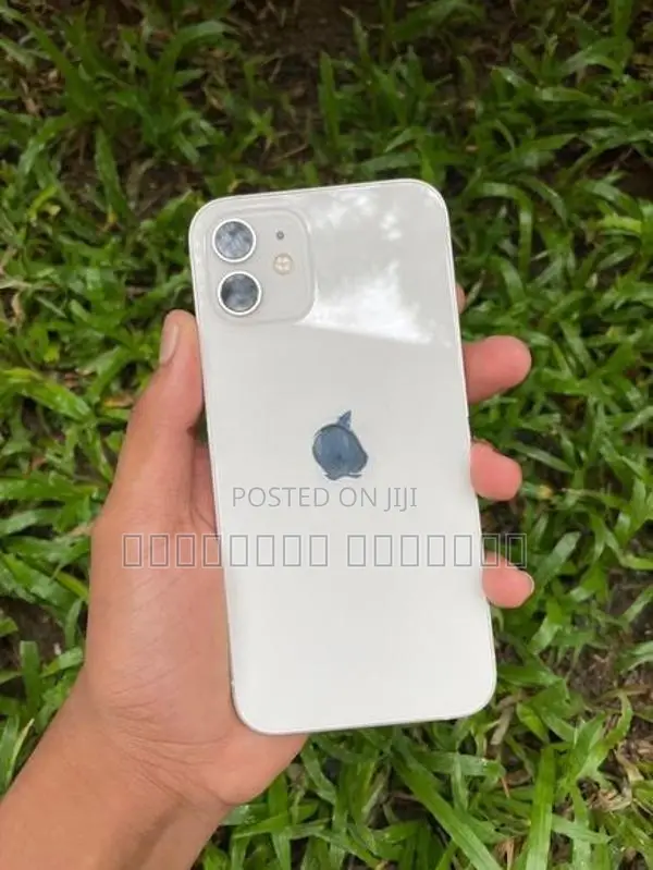 Apple iPhone 12 (Used)