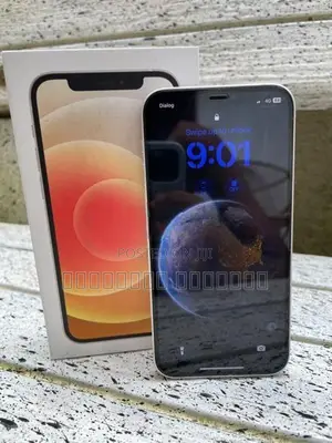 Apple iPhone 12 (Used)