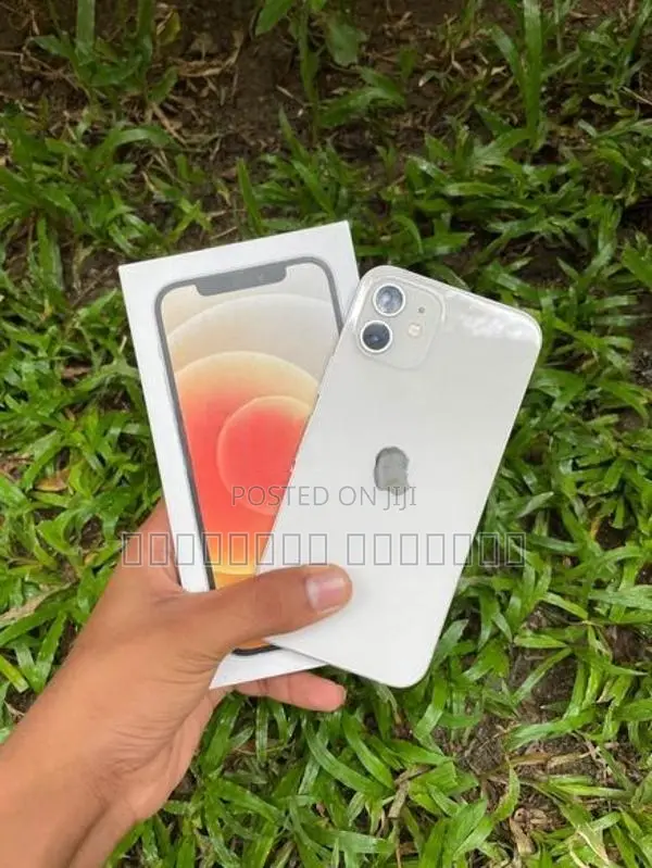 Apple iPhone 12 (Used)