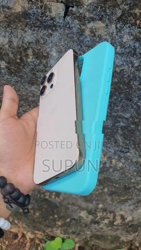 Apple iPhone 16 Pro Max (Used)