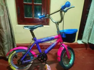 Lumala Kids Bicycle