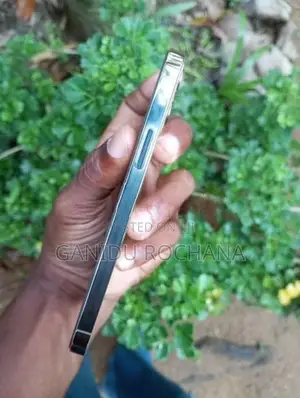 Apple iPhone 12 Pro (Used)