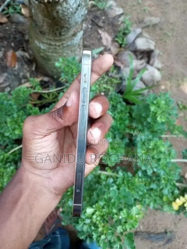 Apple iPhone 12 Pro (Used)