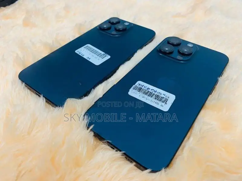 Apple iPhone 13 Pro Max 256GB (Used)
