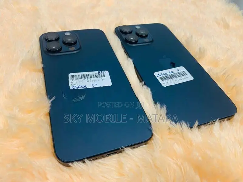 Apple iPhone 13 Pro Max 256GB (Used)