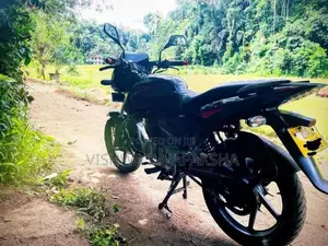 Bajaj Pulsar 150 2013