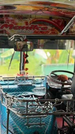 Ashok Leyland Viking 2015