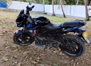 Bajaj Pulsar 180 2010