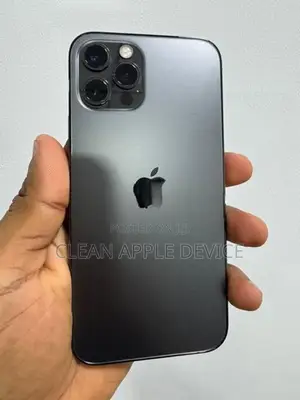 Apple iPhone 12 Pro 256GB (Used)