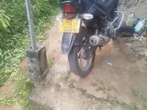 Bajaj Pulsar 150 2006