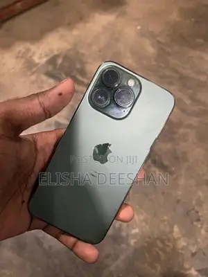 Apple iPhone 13 Pro (Used)