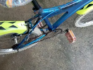 Kids Bicycle