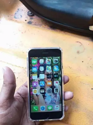 Apple iPhone 6 (Used)