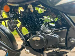 Bajaj Discover 2009