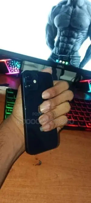 Apple iPhone 12 mini (Used)