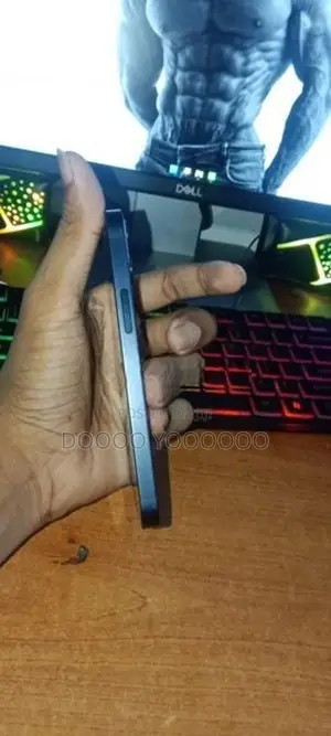 Apple iPhone 12 mini (Used)