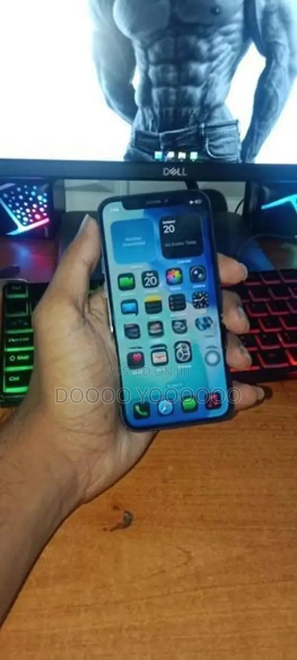 Apple iPhone 12 mini (Used)