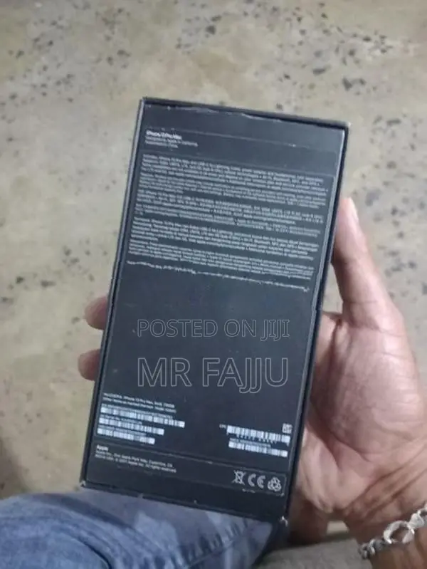 Apple iPhone 13 Pro Max 256GB (Used)