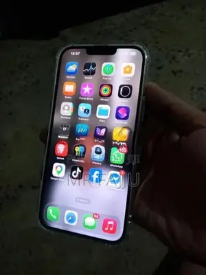 Apple iPhone 13 Pro Max 256GB (Used)