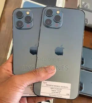 Apple iPhone 12 Pro Max 256GB (Used)