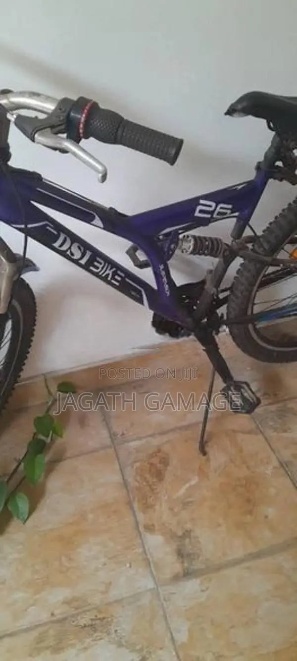 Dsi Bicycle With Shocks