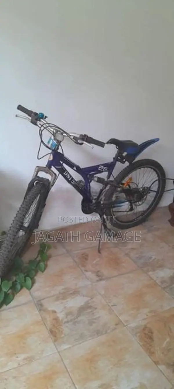 Dsi Bicycle With Shocks