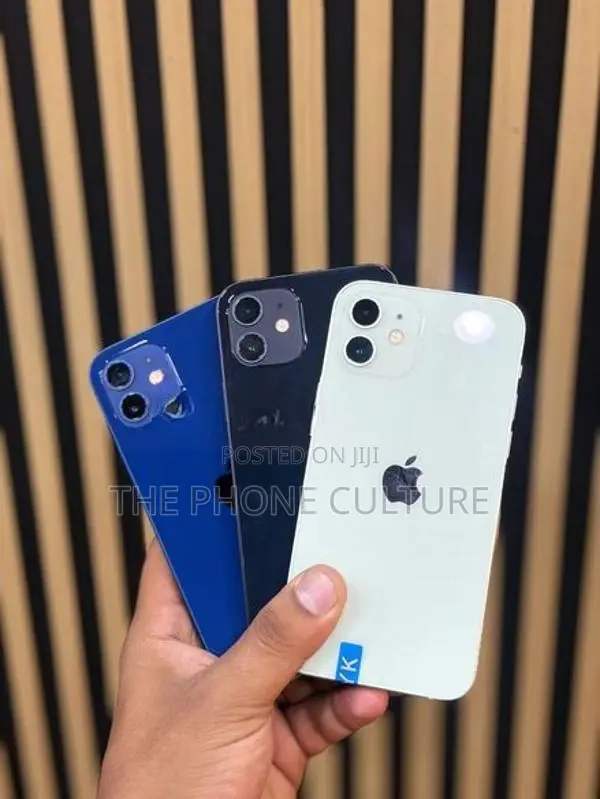 Apple iPhone 12 128GB (Used)