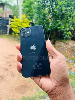 Apple iPhone 12 (Used)
