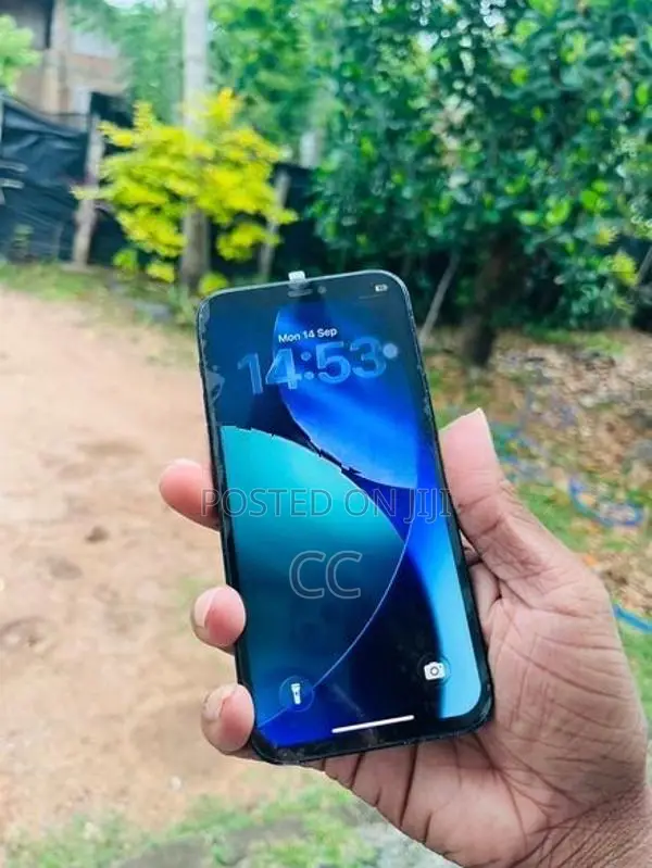Apple iPhone 12 (Used)