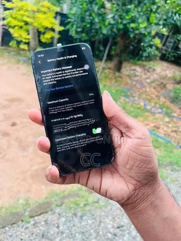 Apple iPhone 12 (Used)