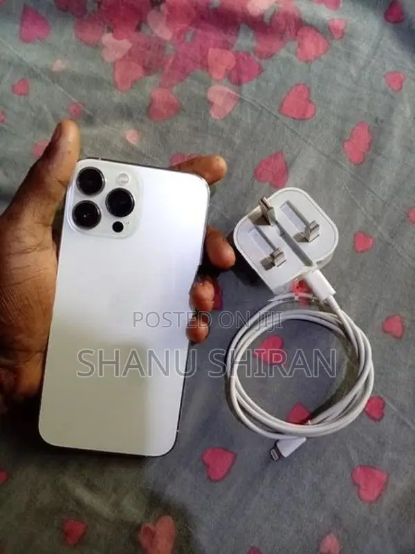 Apple iPhone 13 Pro Max (Used)