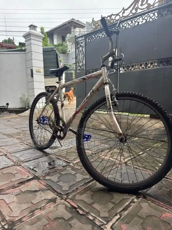 Lumala Bicycle