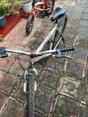 Lumala Bicycle