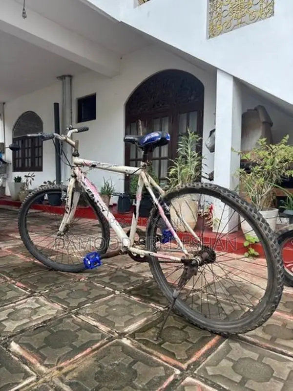 Lumala Bicycle