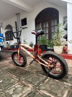 Bmx Stunt