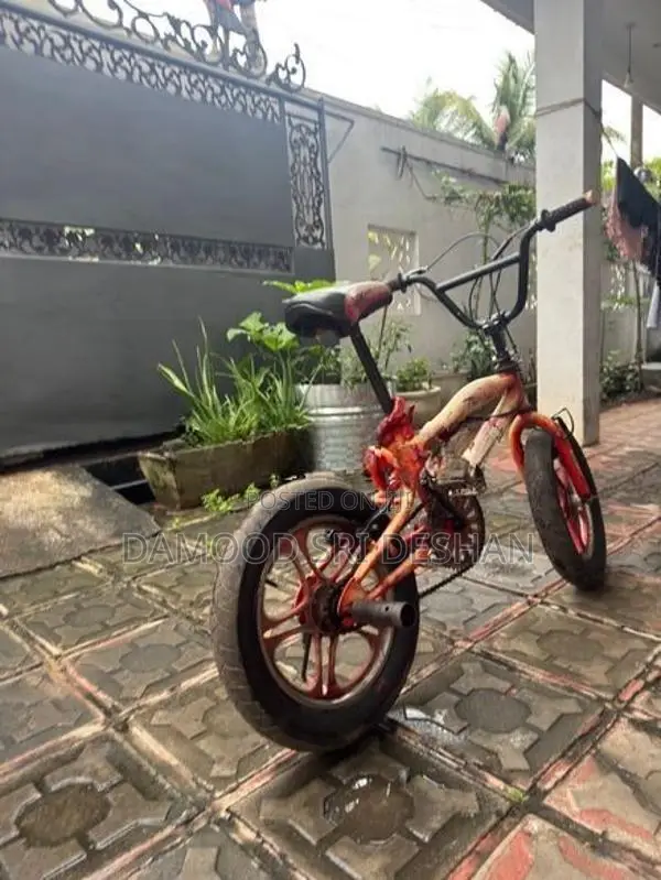 Bmx Stunt