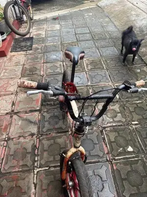 Bmx Stunt