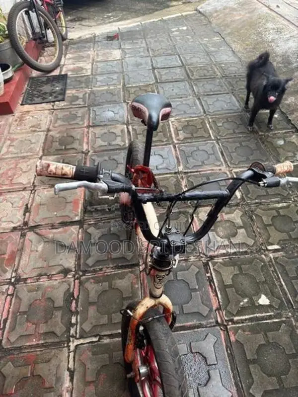 Bmx Stunt
