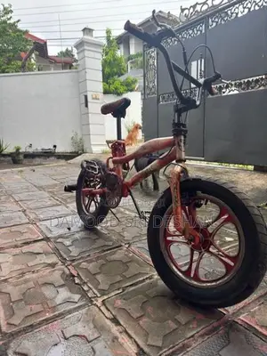 Bmx Stunt
