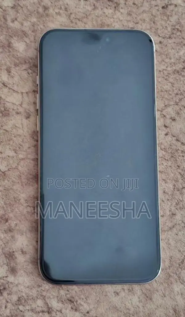 Apple iPhone 16 Pro Max (Used)